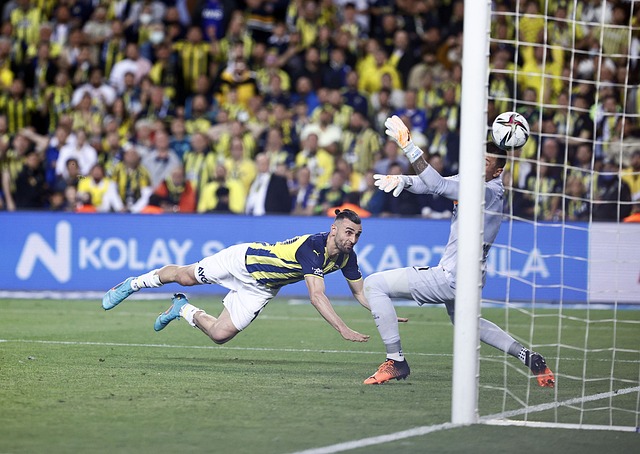 回归无疑将 回归无疑将