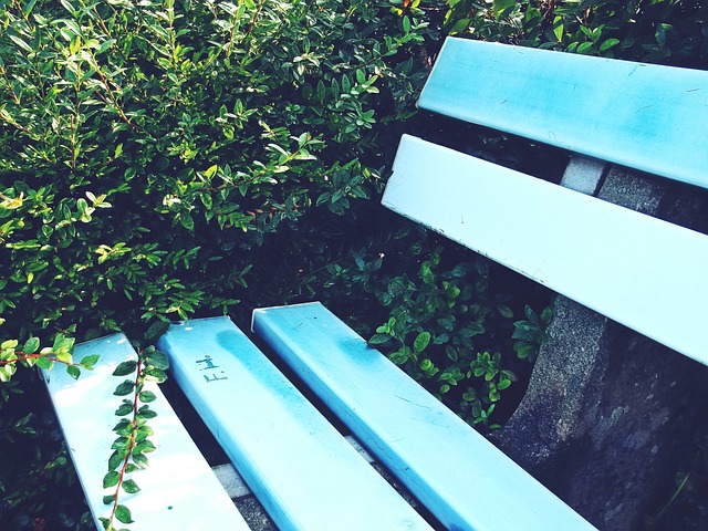 上海的攻势 上海的攻势