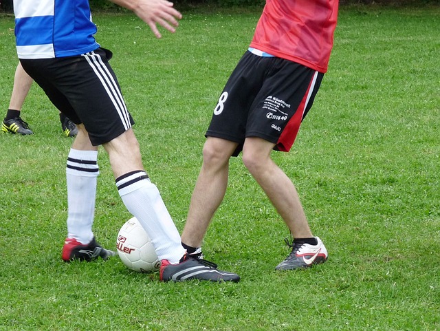 不仅提升了 不仅提升了