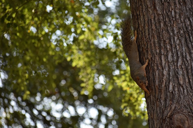 自己的表现 自己的表现