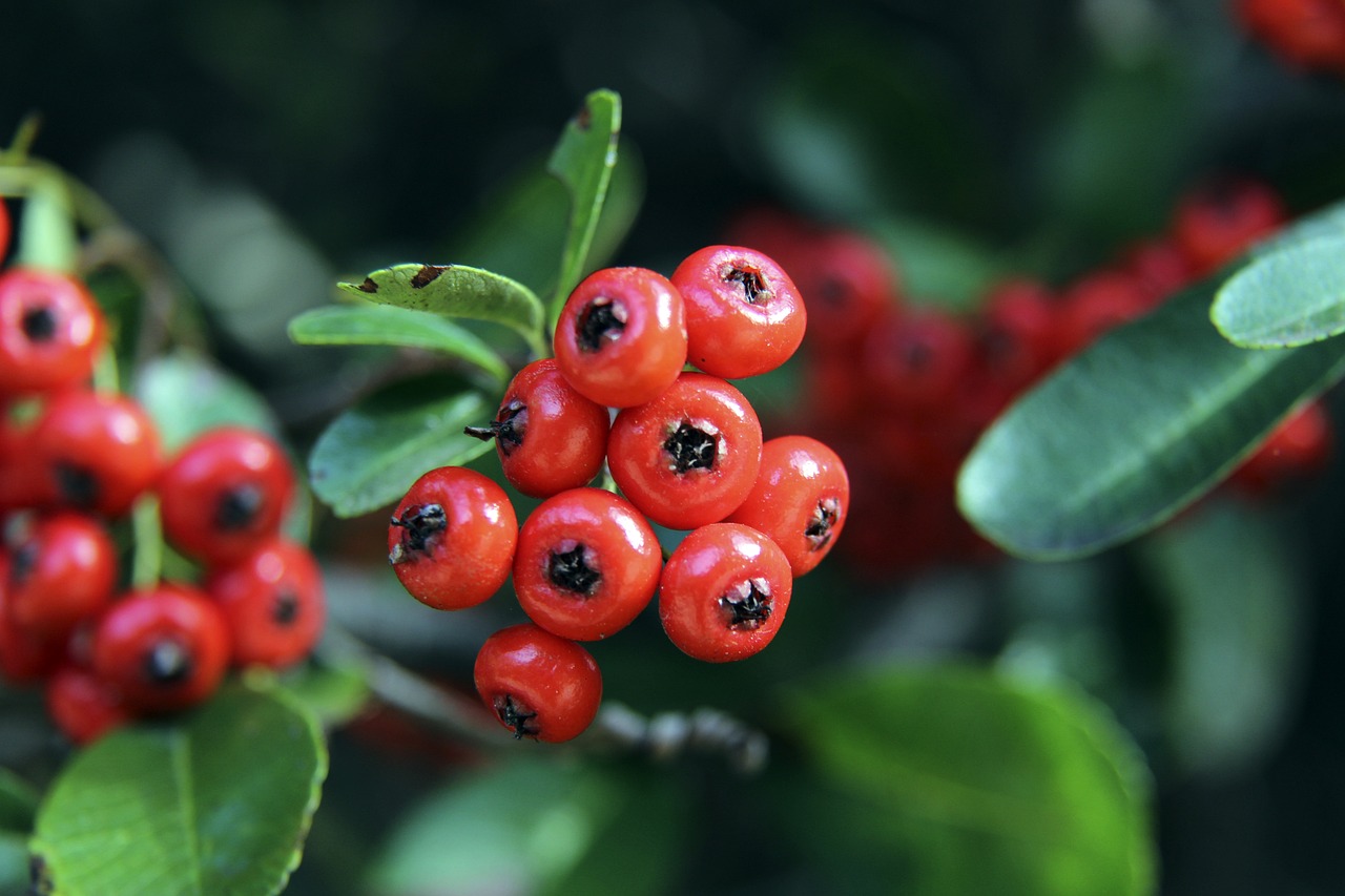 在这场竞技 在这场竞技