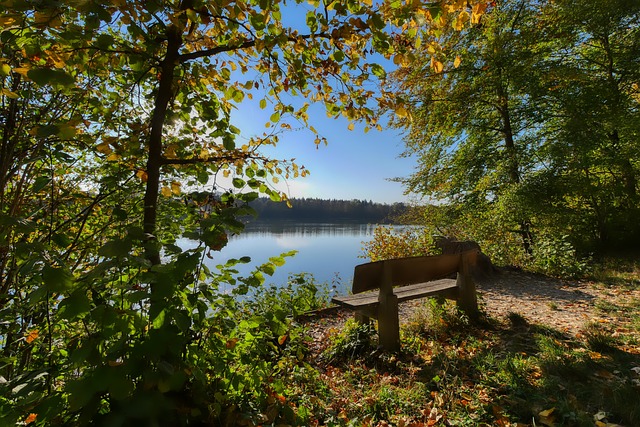 在对阵强敌 在对阵强敌